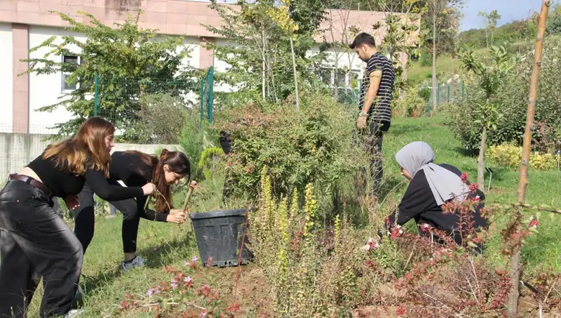 Düzce'nin Hayalinden Dünyaya Açılan Kapı: Gerçekleşen Başarı Hikayesi