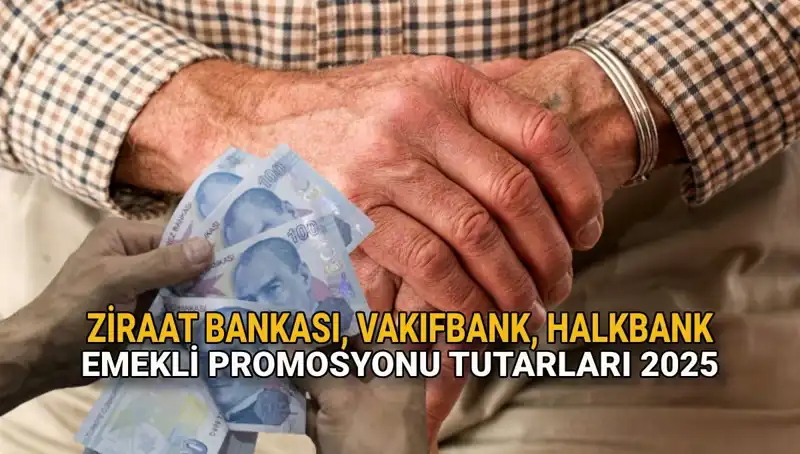 2025'te Kamu Bankaları Emekli Promosyonları: Ziraat, Vakıfbank ve Halkbank Karşılaştırması