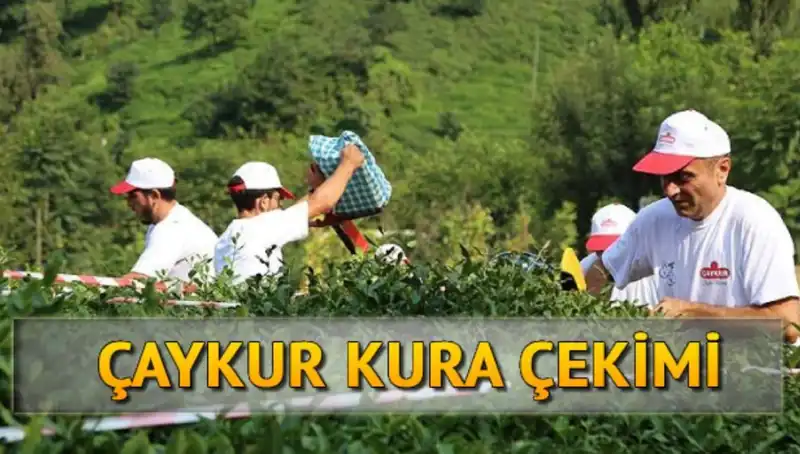 Çaykur Canlı Kura Sayfası: İsim Listesini Öğrenmek Artık Çok Kolay!