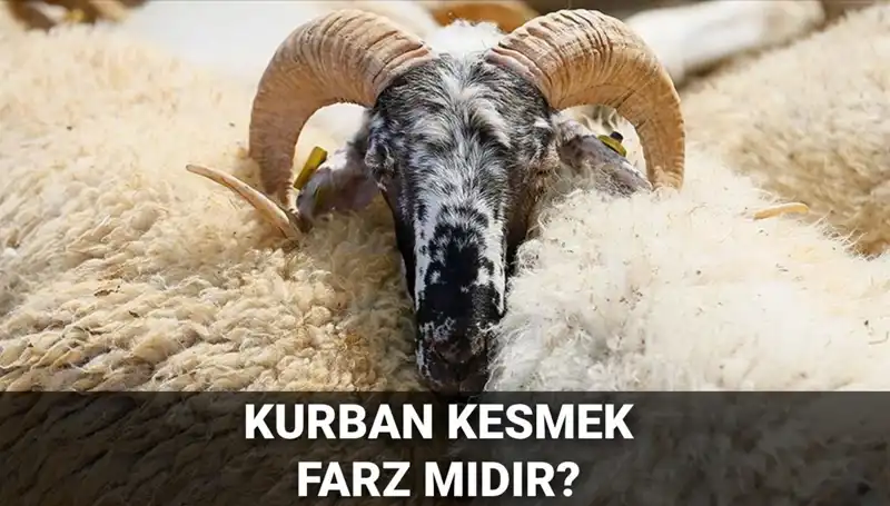 Kurban Kesmek Farz mı? Diyanet’in Değerlendirmesi ve Şartları