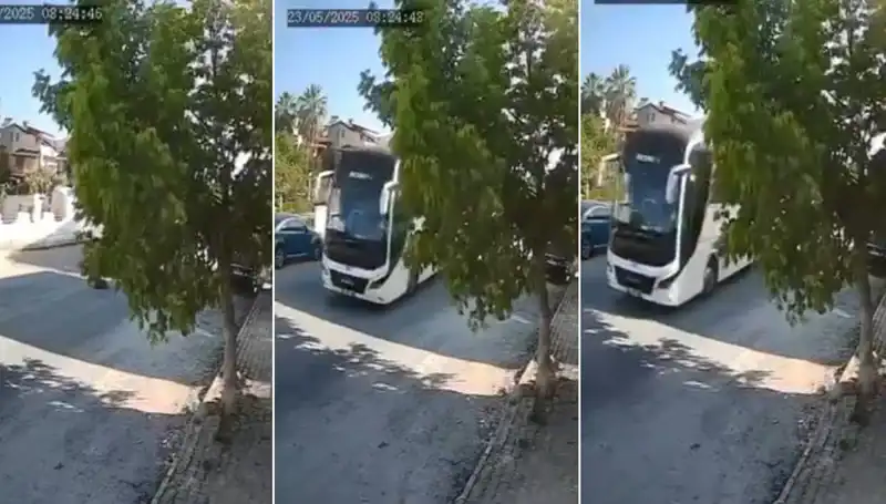 Hayvanlar için Bir Uyarı: Yolda Yatan Köpeği Görmezden Gelen Sürücü
