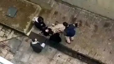 Kampüste Yaşanan Köpek Paniği: Düşen Öğrencinin Durumu Tedirgin Ediyor