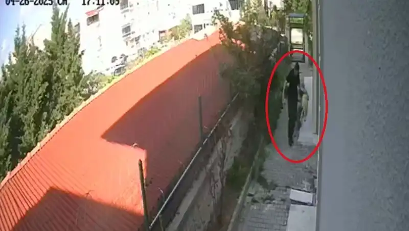 Hayvanları Koruma Yasası Kapsamında Küçük Köpek Katili Doktor Tutuklandı