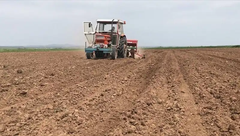 Son 35 Yılın En Kurak Mart Ayı: Türkiye'de Yağışlar Tarihi Düşüşte