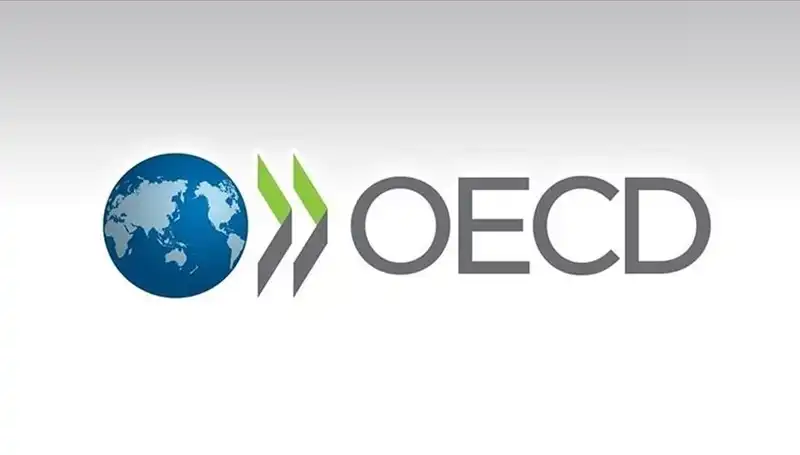 OECD, Türkiye’nin Ekonomik Büyüme Tahminini Yeniden Değerlendirdi!