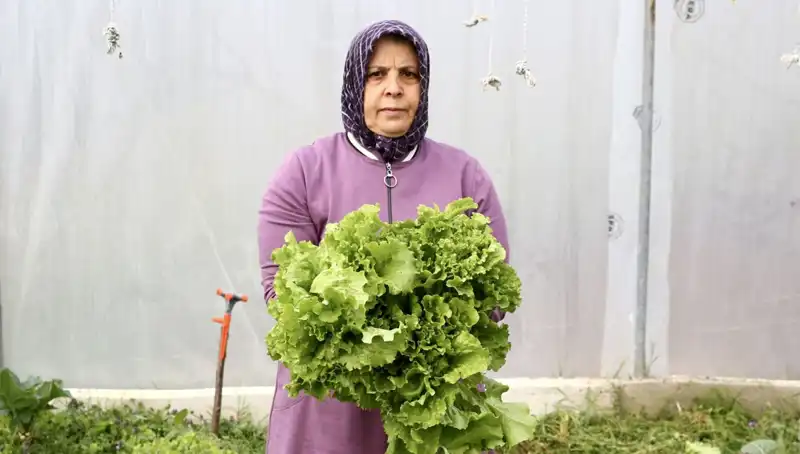 Emeklilik Hayalinin Peşinden Giderken Harika Bir Girişim Açtı