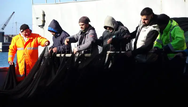 Hamsi Avında Beklenmedik Kriz: Tekneler Neden Erken Paydos Etti?