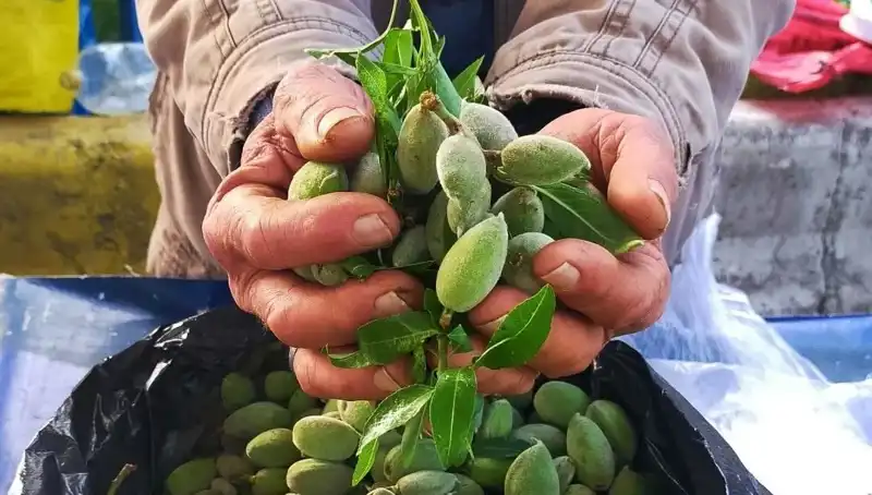 Baharın Gelişiyle Tezgahlardaki Fiyat Artışları Merak Uyandırıyor