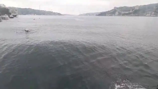 İstanbul Boğazı’nda Yiğit Dalgalar: Neden Yükseliyor?