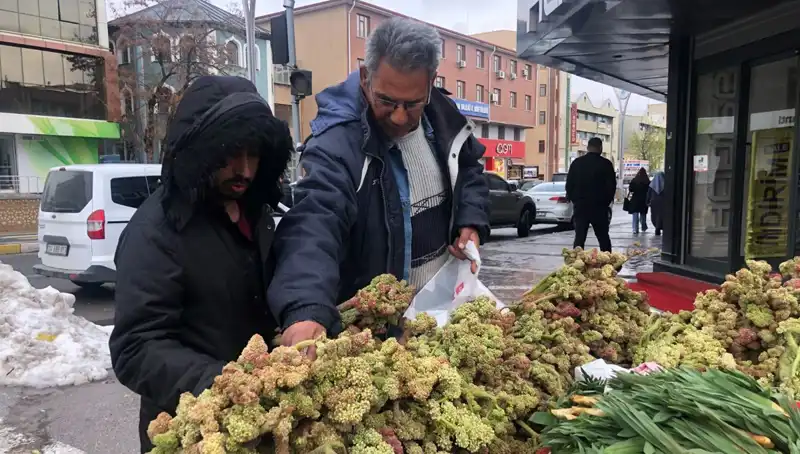 ** Kendiliğinden Yetişen Bu Bitki Kanserle Mücadelede Çığır Açıyor!**