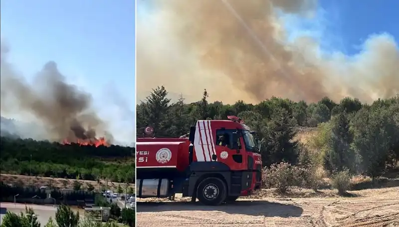 Gebze’de Çıkan Orman Yangını, Bölgeyi Tehdit Altına Aldı